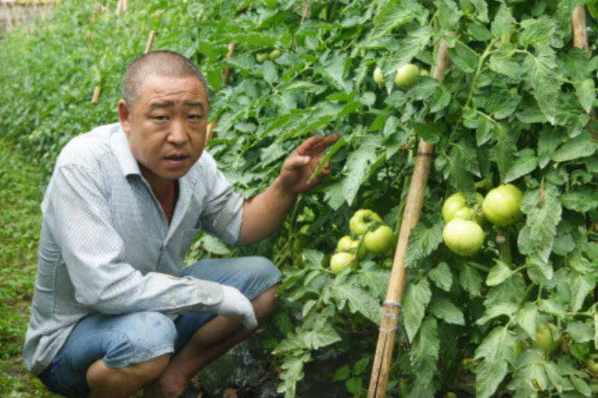 王道銀(巫溪縣祥勝食用菌股份專業合作社負責人)