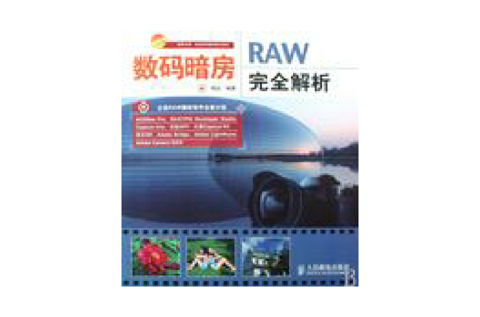 RAW完全解析