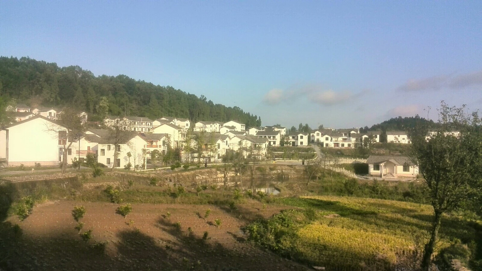 通木村(巴中市平昌縣元山鎮通木村)