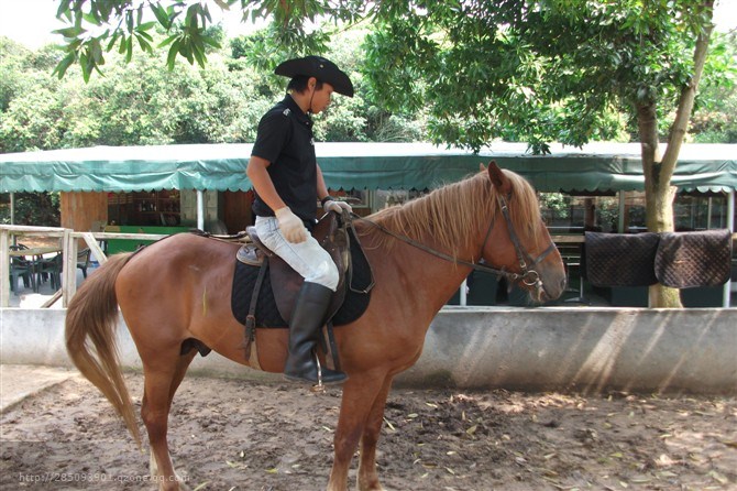 牧馬莊園