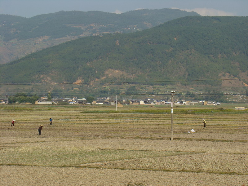 迎將村自然村