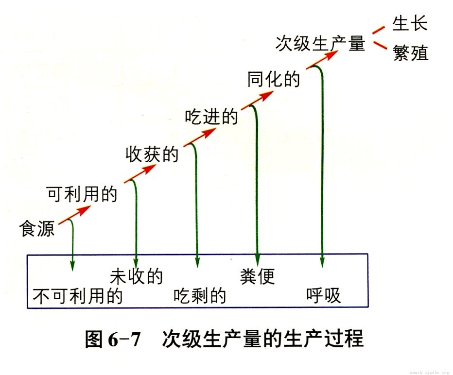 次級生產量