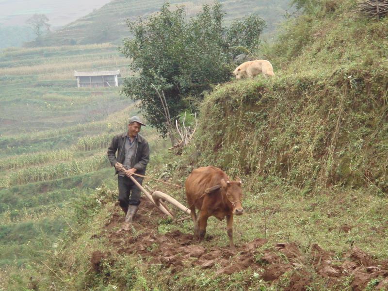 樹皮廠村