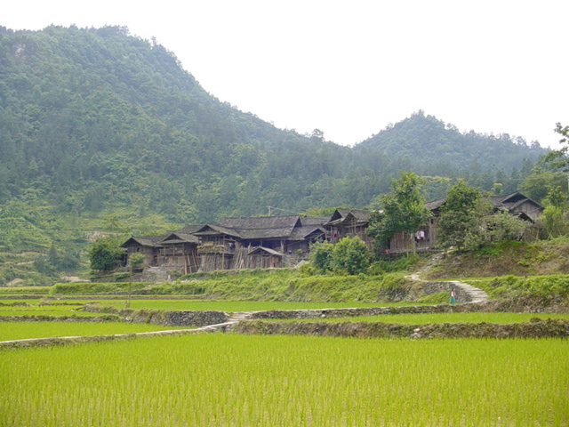 爛泥寨村(雲南省文山州馬關縣仁和鎮爛泥寨村)