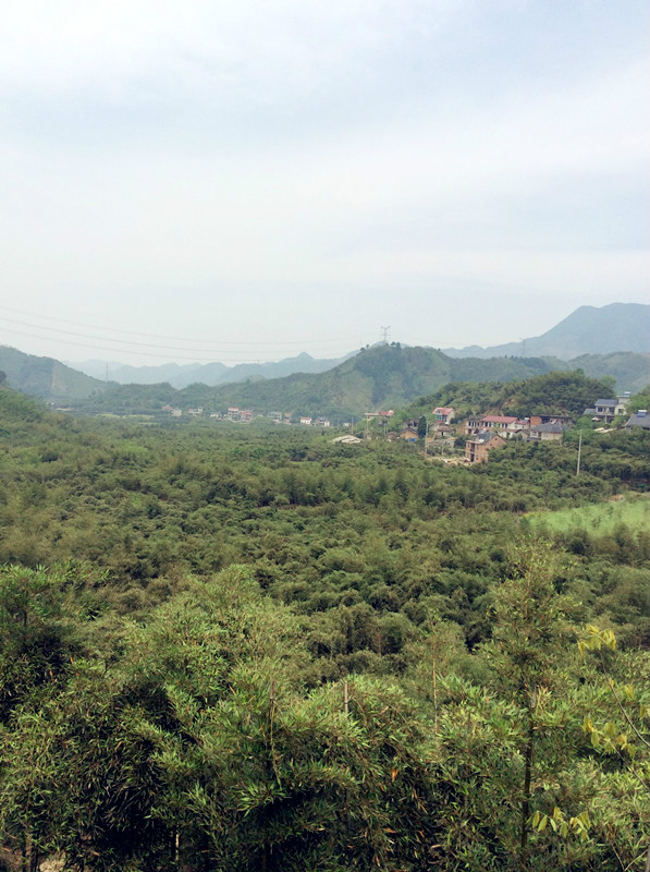 雲梯鄉