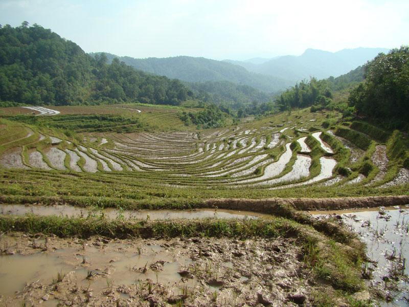 蝙蝠自然村