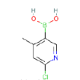 2-氯-4-甲基吡啶-5-硼酸