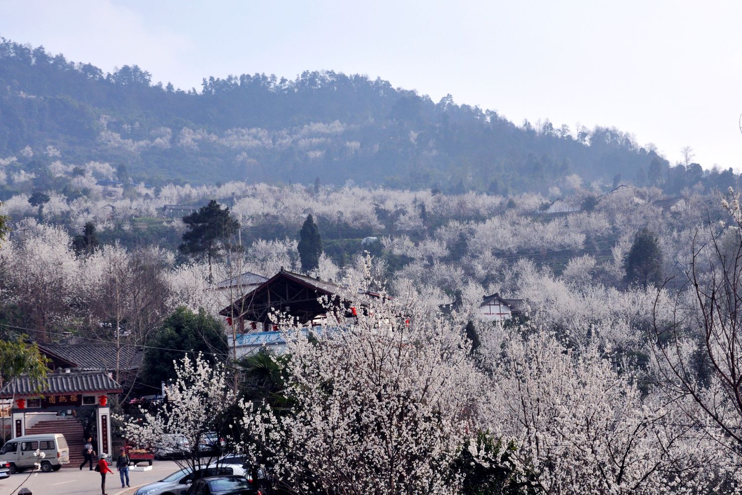 長秋山