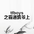 tfboys之霸道凱爺上