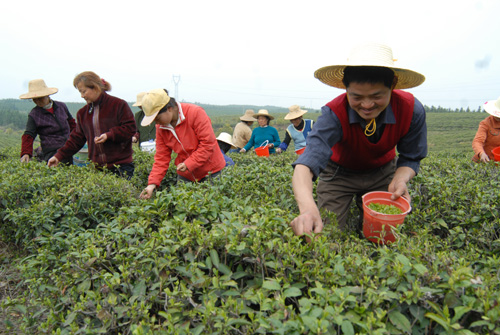 北伐名村雞湯香