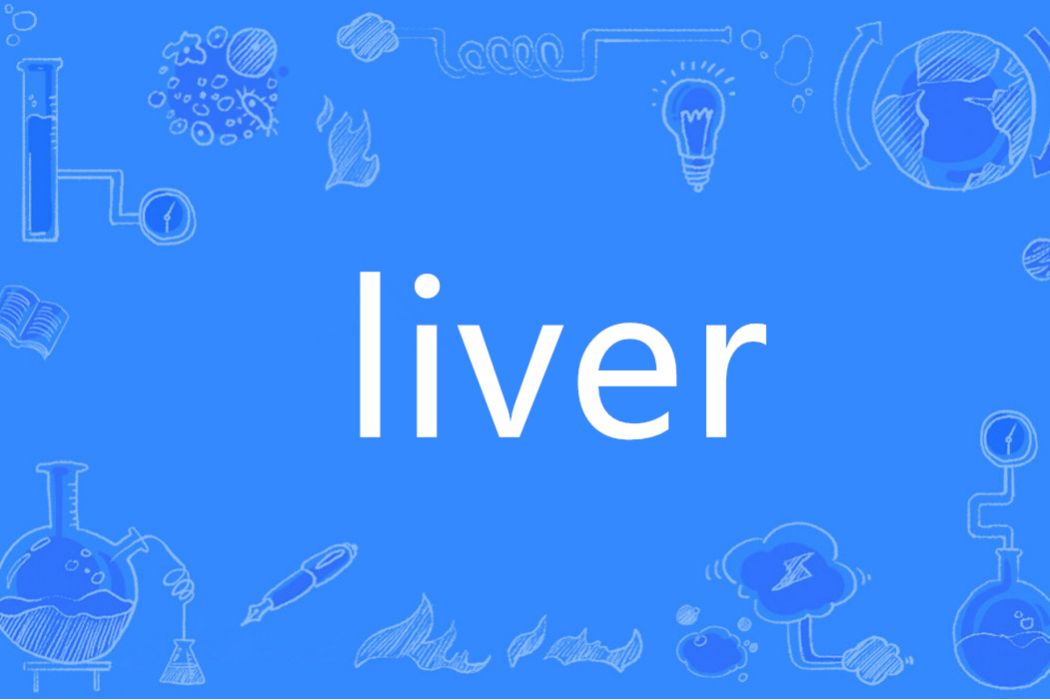 Liver(英語單詞)