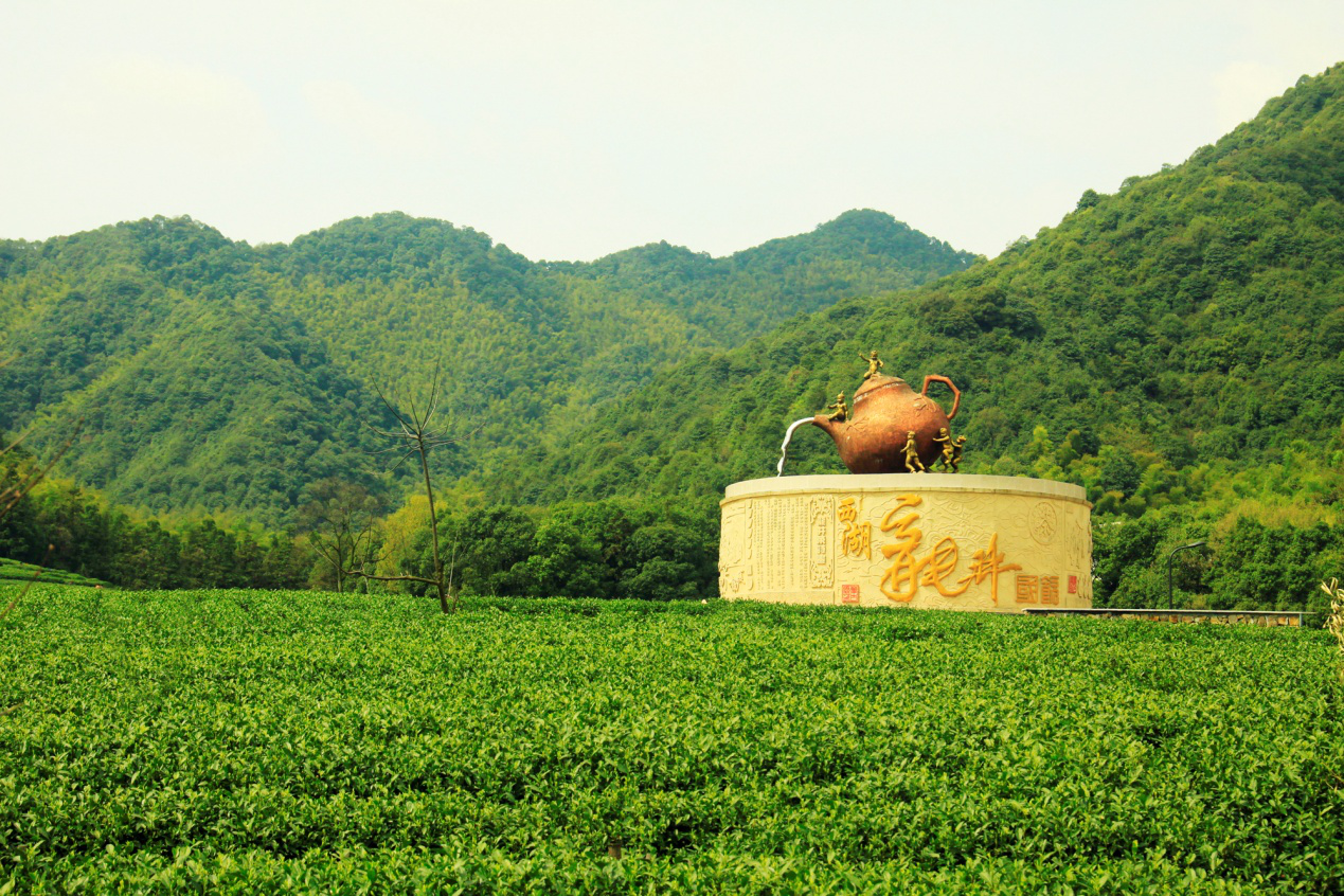 西湖功夫茶