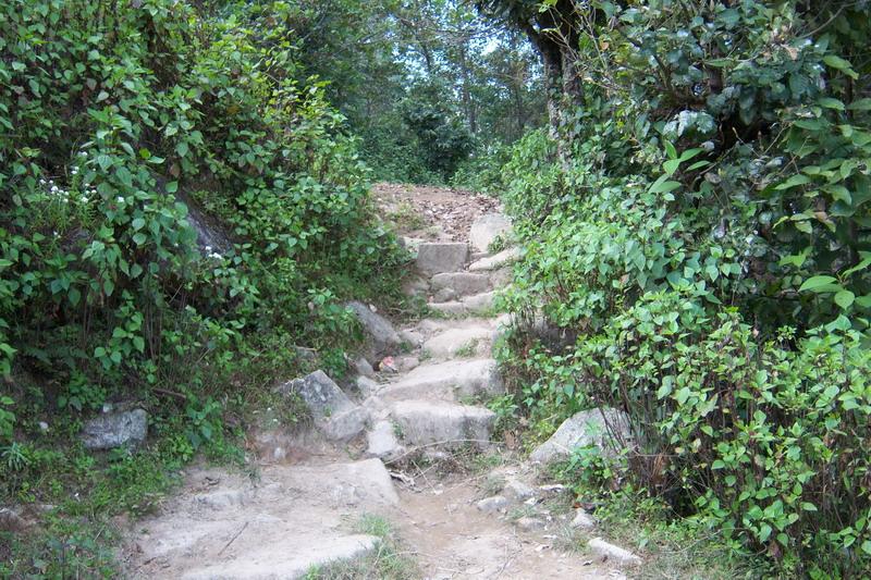 花樹林自然村的村社路