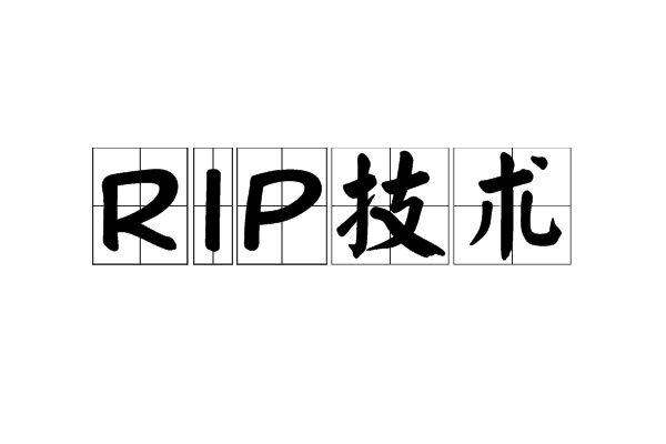 RIP技術