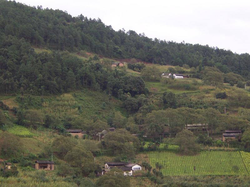 大水塘自然村(雲南省文山丘北縣官寨鄉蚌郎村大水塘自然村)