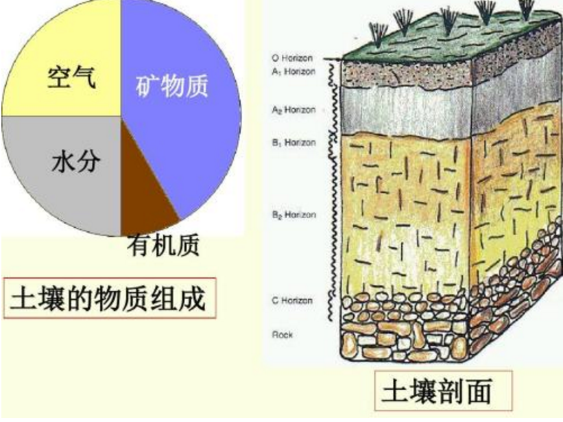 土壤酸解烴測量