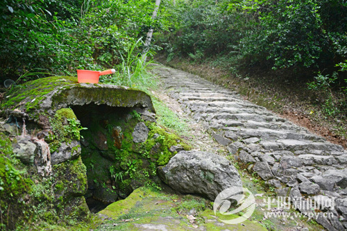 鳳嶺古道