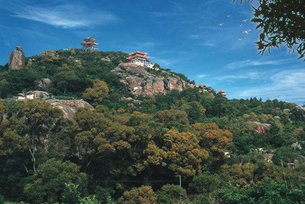 黃花山國家森林公園2