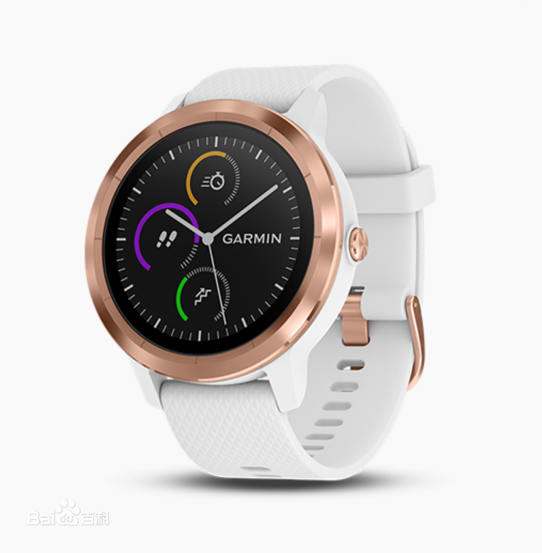 Garmin Vivoactive智慧型運動健康手環