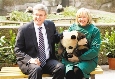 史蒂芬·哈珀(Stephen Harper)