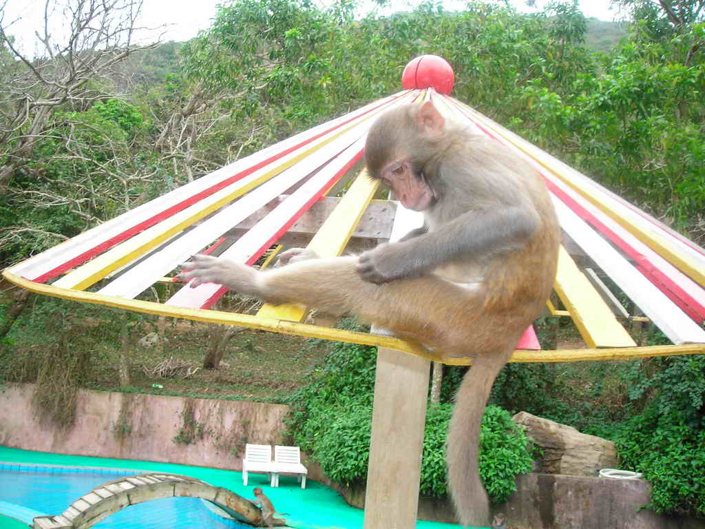 南灣猴島生態旅遊區