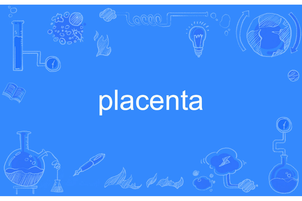 placenta