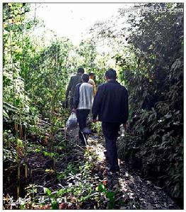 三灣國家森林公園