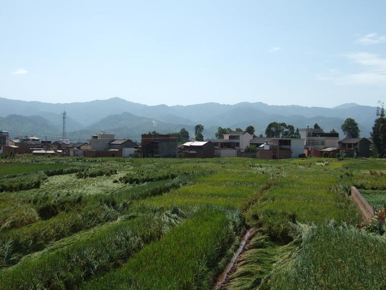 陳家自然村(雲南永平縣水泄彝族鄉下轄村)