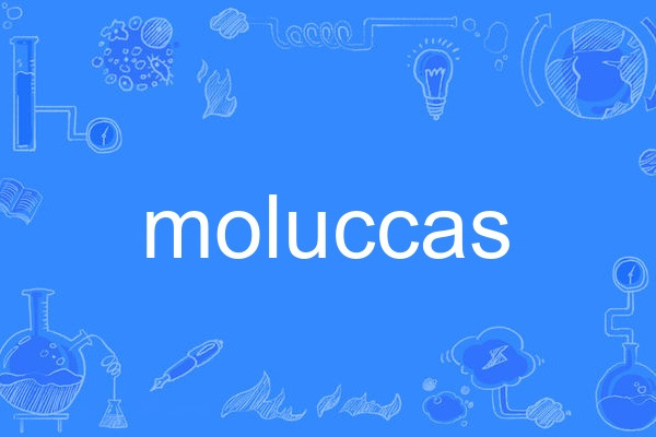 moluccas