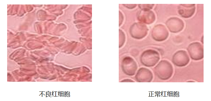 每日機活素