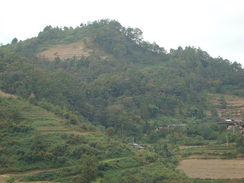 未汪村(雲南省文山州丘北縣溫瀏鄉下轄村)