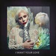 I Want Your Love(Lady GaGa演唱歌曲)