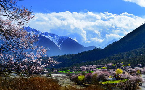 桃花溝