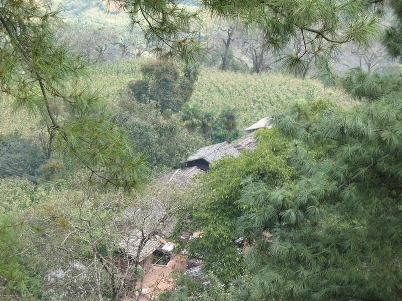 平梨村