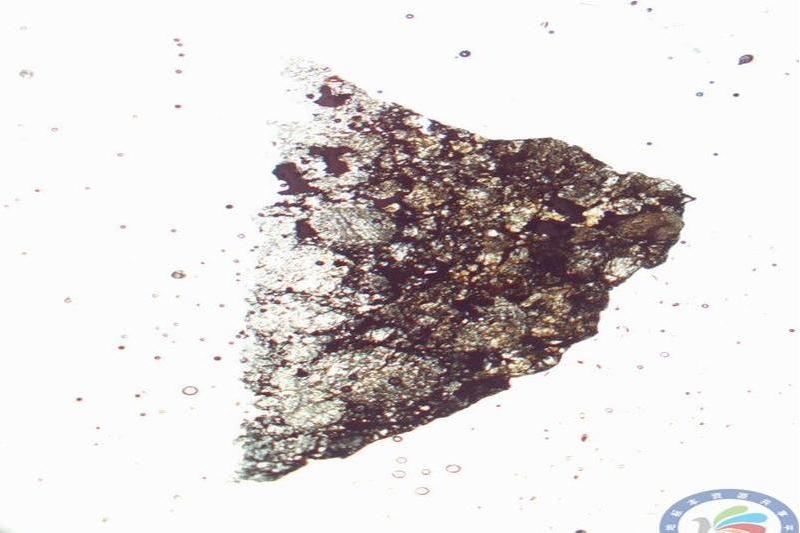 南極隕石GRV020049