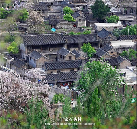 十八家村(浙江省溫州市瑞安市安陽街道十八家村)