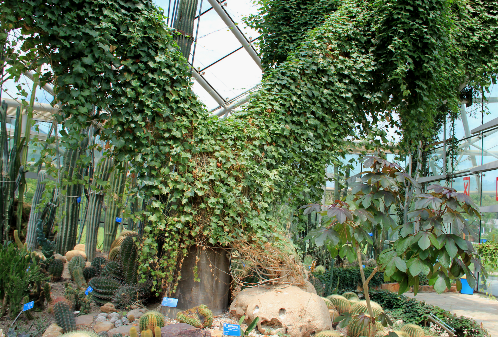 江蘇省中國科學院植物研究所（南京中山植物園）