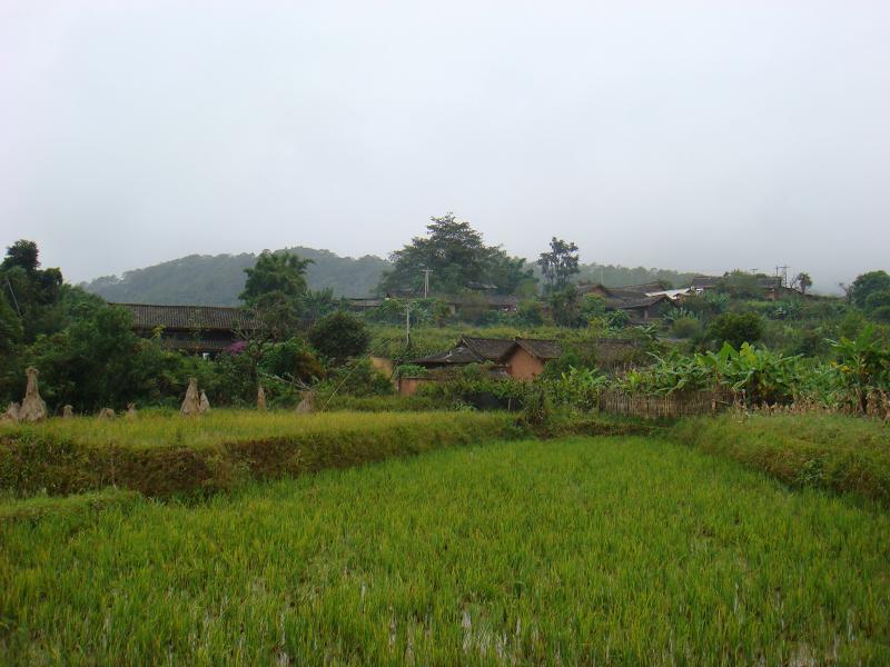 大河邊自然村(坪上鄉河壩村委會下轄自然村)