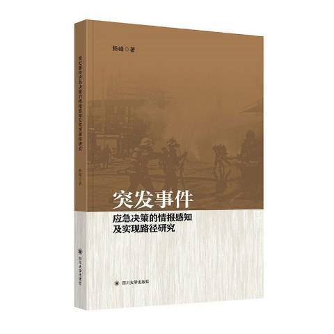 突發事件應急決策的情報感知及實現路徑研究