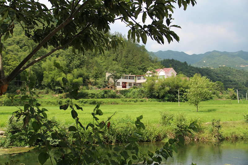 安徽省金寨縣南溪鎮花園村田園風光