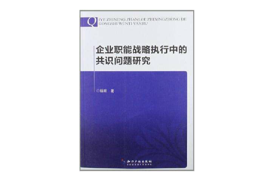 企業職能戰略執行中的共識問題研究