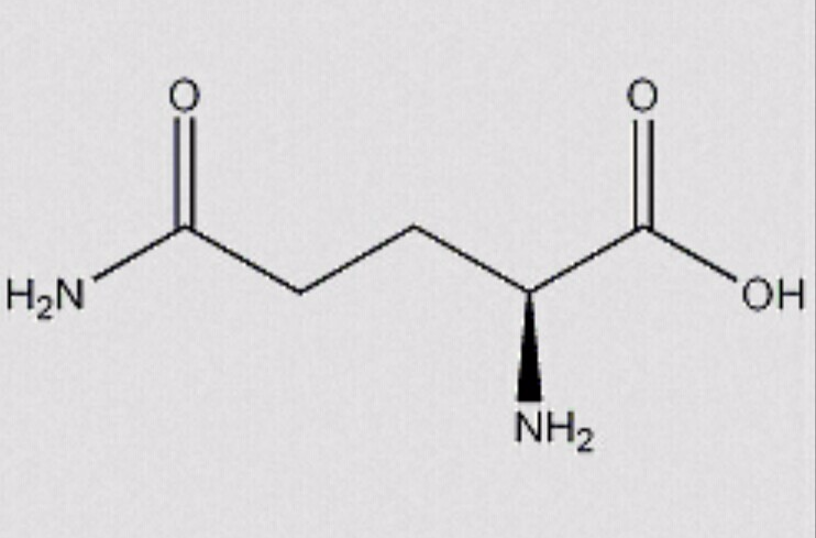 L-谷氨醯胺