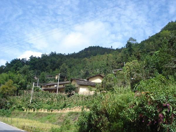 龍樹自然村(雲南昆明東川區紅土地鎮龍樹村委龍樹自然村)