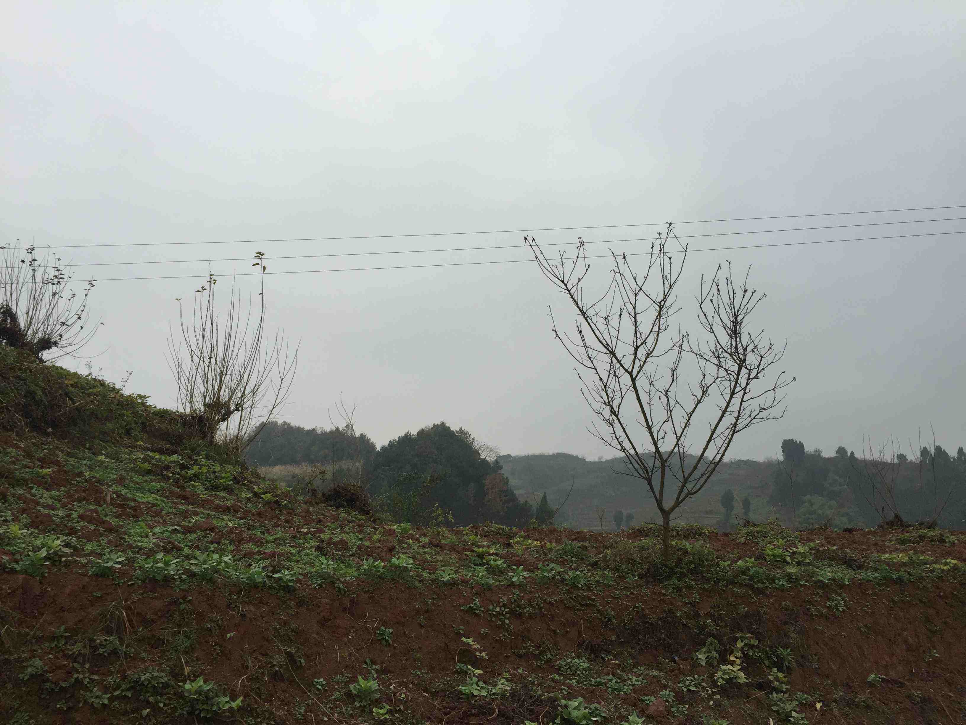 水口村(重慶市渝北區大灣鎮水口村)