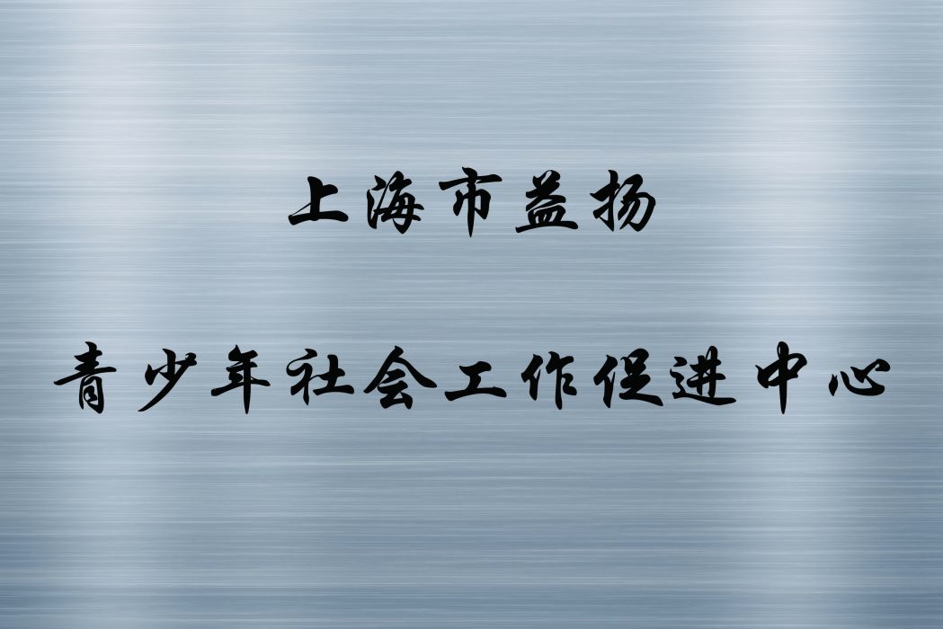 上海市益揚青少年社會工作促進中心