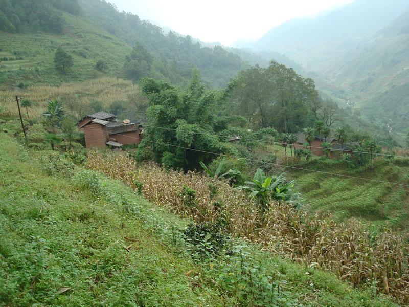 菜子山村