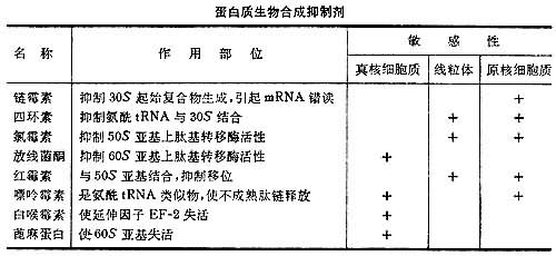 蛋白質生物合成抑制劑