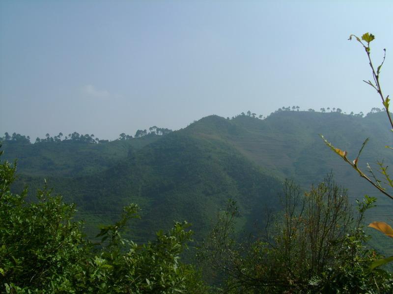 陸良村