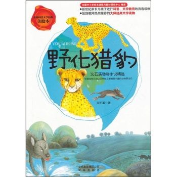 野化獵豹·沈石溪動物小說精選