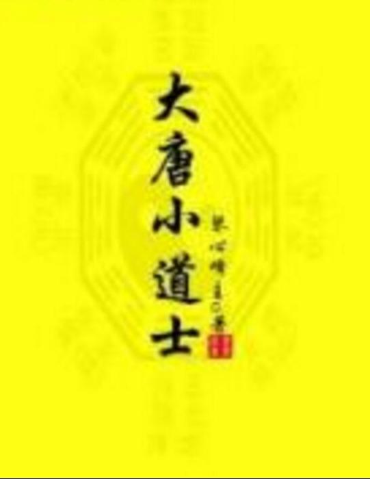 大唐小道士(琴心峰主著網路小說)